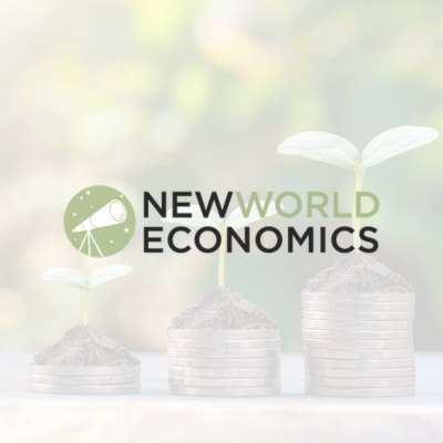 Economic Consulting Website